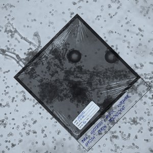 laboratorio