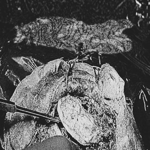 Phallocystorrhexis 的头像