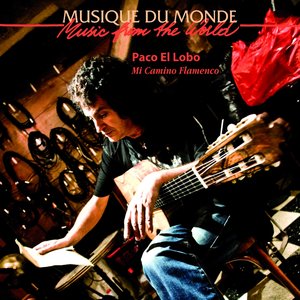 Mi Camino Flamenco