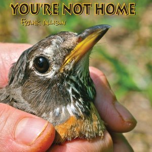 You're Not Home