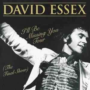 I'll Be Missing You Tour (The Final Show)
