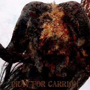 Pray For Carrion