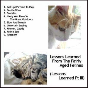 Image for 'Lessons Learned From The Fairly Aged Felines (Lessons Learned Pt III)'