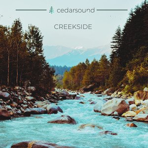 Cedarsound 的头像