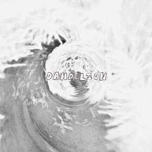 Dandelion - Single