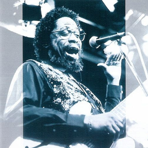 The Son Seals Blues Band photo provided by Last.fm