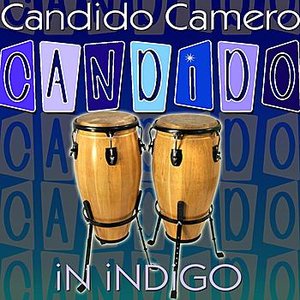 Candido In Indigo