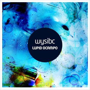 “WYSIBC”的封面