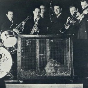 Bob Crosby And His Bob Cats 的头像