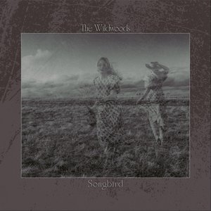 Songbird - Single