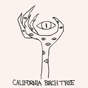California Birch Tree