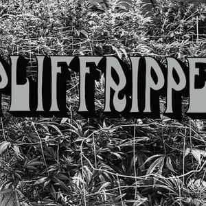 Spliffripper 的头像