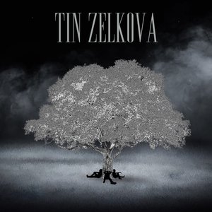 Tin Zelkova
