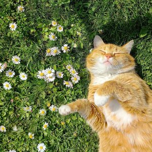 весеннее обострение