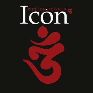 Icon 3