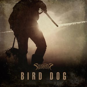 Bird Dog