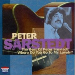 Meaning of Where Do You Go To (My Lovely)? by Peter Sarstedt