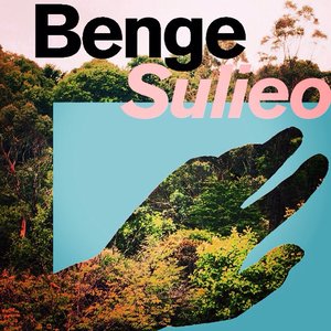 Sulieo