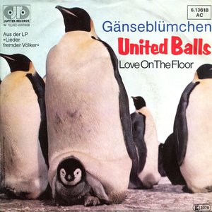 Gänseblümchen