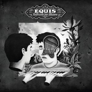 equis 的头像