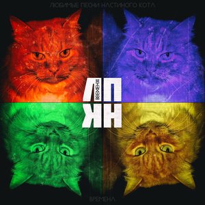 Любимые песни настиного кота için avatar