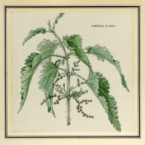 “nettles (demo)”的封面