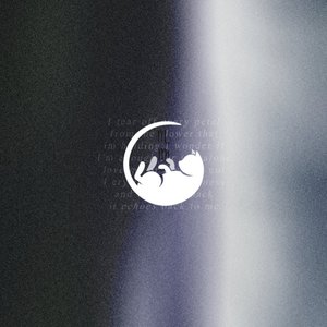 Echo - Single
