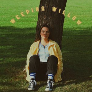 Weeping Willow - Single