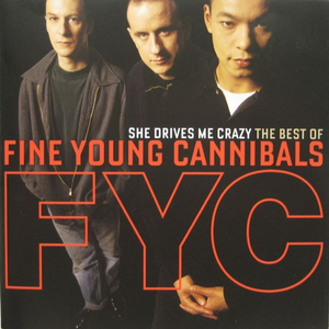 artist - She Drives Me Crazy The Best Of Fine Young Cannibals [disc 1] - Zortam Music