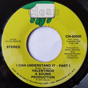 I Can Understand It