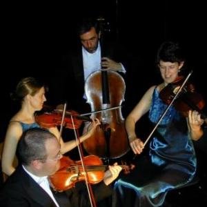 Bingham String Quartet 的头像
