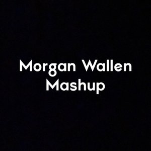 Morgan Wallen Mashup