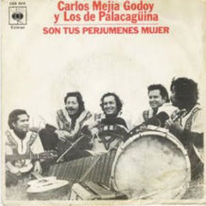 Carlos Mejia Godoy y los de Palacagüina 的头像