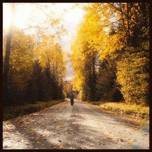 ..but the leaves they are changing