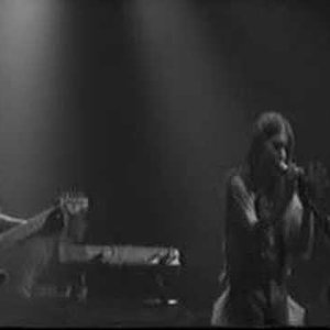 Yael & The Palmtrees 的头像
