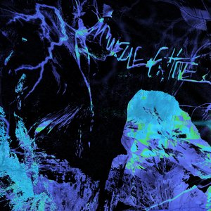 nouvelle.entité