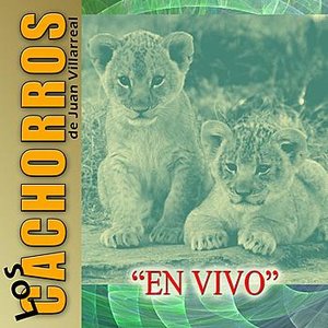 En Vivo
