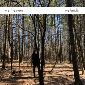 Wetlands
