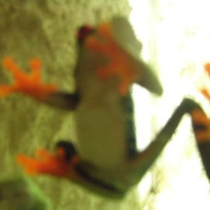 mr swim için avatar