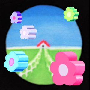 Why Are My Photos Bad? - Single
