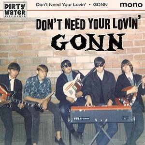 Don't Need Your Lovin'