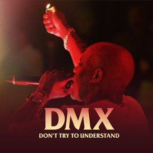 DMX: Don't Try to Understand