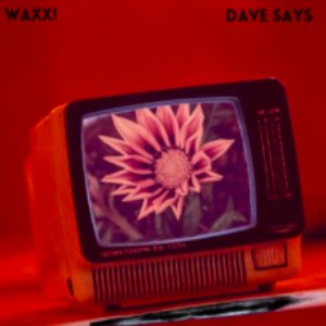 Dave Says