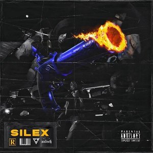 Silex freestyle