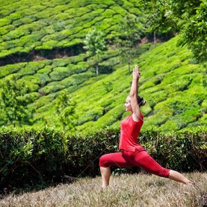In Yoga Academy 的头像