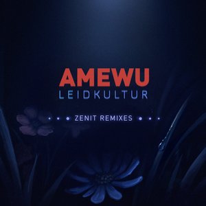 Leidkultur (Zenit Remixes)
