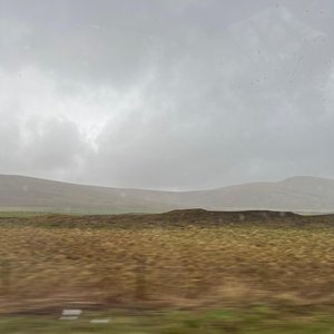 falling // sinking - Single