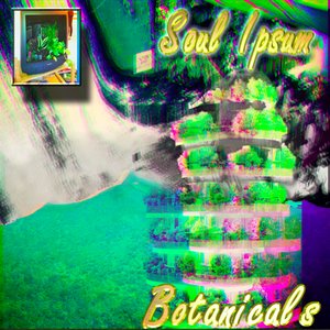 Soul Ipsum 的头像