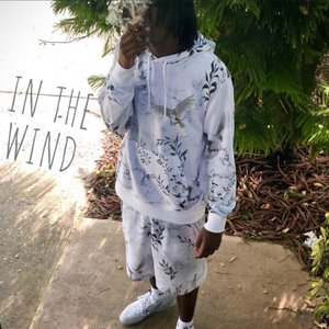 In The Wind