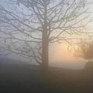 Feeling - Single